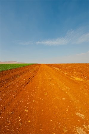 simsearch:400-06521455,k - Dirt Road between Plowed Fields in Israel, Spring Fotografie stock - Microstock e Abbonamento, Codice: 400-06422194