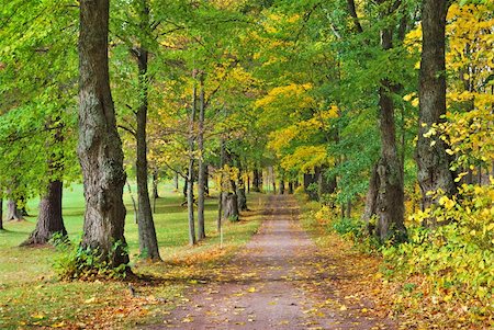 finland landmark - Finland, Hameenlinna. Golden autumn in the Park Aulanko Stock Photo - Budget Royalty-Free & Subscription, Code: 400-06422566