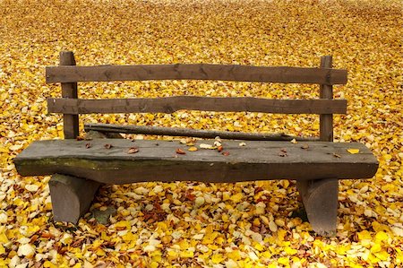 wooden bench in the park on fallen leaves background Stock Photo - Budget Royalty-Free & Subscription, Code: 400-06423785