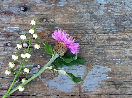 Cornflower and lily of the valley on the old, cracked wooden board Stock Photo - Budget Royalty-Free & Subscription, Code: 400-06431047