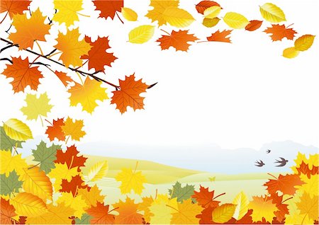 Autumn background Stock Photo - Budget Royalty-Free & Subscription, Code: 400-06454135