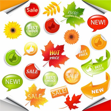 simsearch:400-06692000,k - Autumn Collection Sale Elements With Leaves, Vector Illustration Stock Photo - Budget Royalty-Free & Subscription, Code: 400-06454137