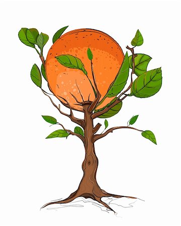 sketchy - Vector orange tree EPS8 illustration. No effects. All items are grouped, and can be used separately. Also grouped by colors and lines. Stock Photo - Budget Royalty-Free & Subscription, Code: 400-06454861