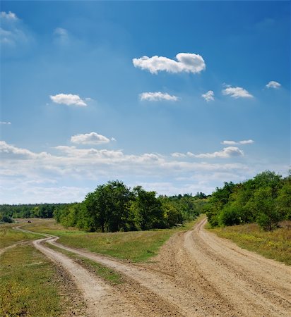 dirt farm road - two rural roads go to horizon under cloudy sky Stock Photo - Budget Royalty-Free & Subscription, Code: 400-06455973