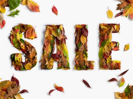 Sale word made from Autumn Leaves Fotografie stock - Microstock e Abbonamento, Codice: 400-06456360