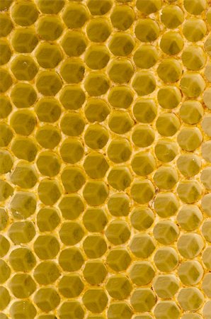 Honeycomb closeup macro background. Bees collected honey container. Photographie de stock - Aubaine LD & Abonnement, Code: 400-06456474