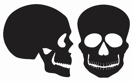 Skulls Front and Side View Black and White Illustration Isolated on White Background Stock Photo - Budget Royalty-Free & Subscription, Code: 400-06456515