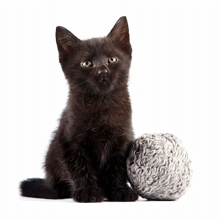 Black kitten with a woolen ball on a white background Photographie de stock - Aubaine LD & Abonnement, Code: 400-06456662