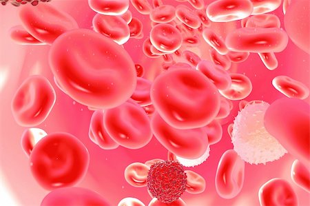 red blood cells in high details Stock Photo - Budget Royalty-Free & Subscription, Code: 400-06456882