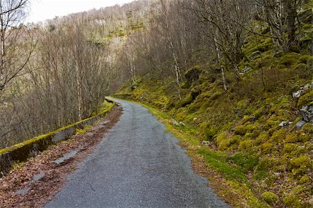 unused, run-down road in rural landscape - norway Foto de stock - Royalty-Free Super Valor e Assinatura, Número: 400-06458537