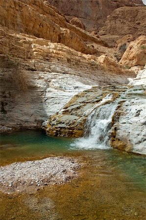 mineral source in national park Ein Gedi near the Dead Sea in Israel Fotografie stock - Microstock e Abbonamento, Codice: 400-06459637