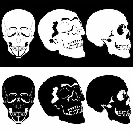 skeletal head drawing - Several black and white human skulls. Illustration on black and white background. Stock Photo - Budget Royalty-Free & Subscription, Code: 400-06452378