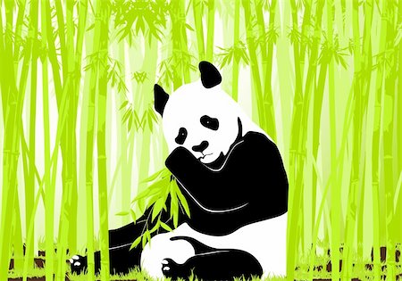 panda reserve - Hungry giant panda bear eating bamboo Stock Photo - Budget Royalty-Free & Subscription, Code: 400-06452924