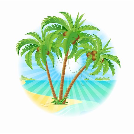 Coconut palm trees on a island with sun. Illustration on white. Photographie de stock - Aubaine LD & Abonnement, Code: 400-06453425