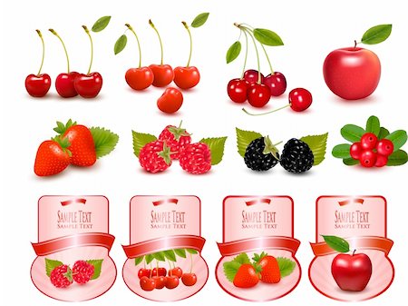 simsearch:400-06386179,k - Big set with fruits and labels  Vector illustration Foto de stock - Super Valor sin royalties y Suscripción, Código: 400-06453780