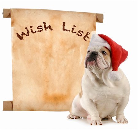 simsearch:400-06461634,k - pet christmas wish list - english bulldog santa with a christmas wish list Stock Photo - Budget Royalty-Free & Subscription, Code: 400-06465130