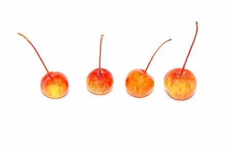 Four crab apples, isolated on a white background Fotografie stock - Microstock e Abbonamento, Codice: 400-06460964