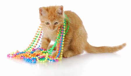 simsearch:6122-07695824,k - adorable three month old kitten playing with colorful beads with reflection on white background Photographie de stock - Aubaine LD & Abonnement, Code: 400-06461157