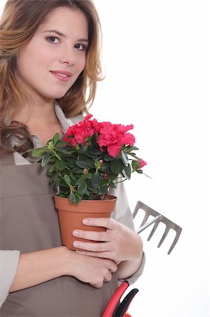 female, gardener Photographie de stock - Aubaine LD & Abonnement, Code: 400-06461201