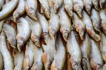 dried Phalacronotus bleekeri fish at Thailand market Stock Photo - Budget Royalty-Free & Subscription, Code: 400-06462226