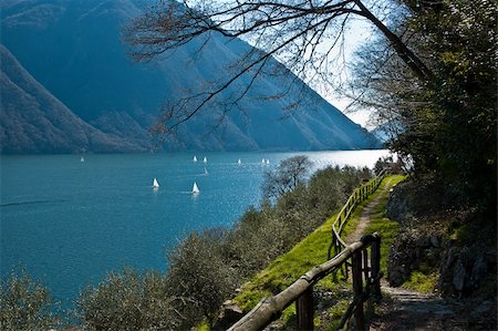 themed walk among ancient olive trees in Gandria, Ticino - Switzerland Stockbilder - Microstock & Abonnement, Bildnummer: 400-06462934