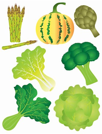 Vegetables Pumpkin Squash Melon Asparagus Artichoke Broccoli Lettuce Leafy Green Kale Spinach Cabbage Illustration Stock Photo - Budget Royalty-Free & Subscription, Code: 400-06475698