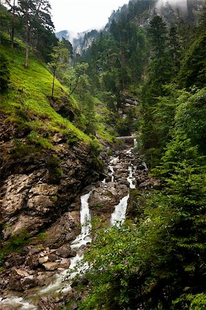 simsearch:400-05034990,k - fast alpine river in the forest Alps Foto de stock - Super Valor sin royalties y Suscripción, Código: 400-06477068