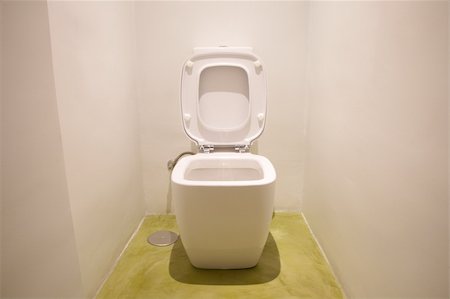 educazione all'uso del vaso - watercloset in white bathroom with green floor Fotografie stock - Microstock e Abbonamento, Codice: 400-06478786