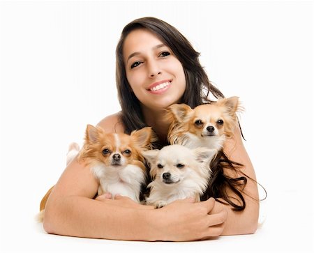 simsearch:400-06172990,k - portrait of a woman andthree chihuahuas in front of white background Stockbilder - Microstock & Abonnement, Bildnummer: 400-06478905