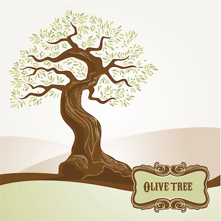Olive tree vector for label, menu, stationary, printed materials, background, packaging Fotografie stock - Microstock e Abbonamento, Codice: 400-06472077