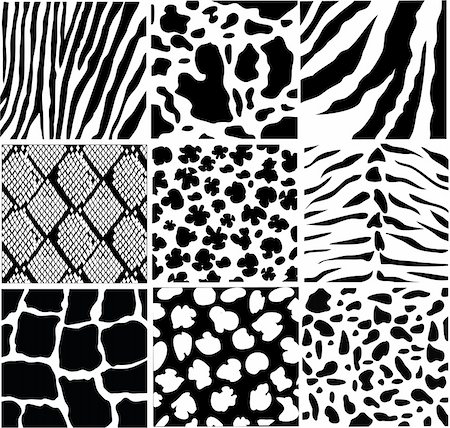 vector black and white animal skin Stock Photo - Budget Royalty-Free & Subscription, Code: 400-06472298