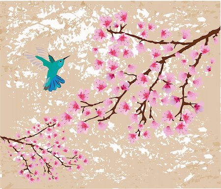 vector blossom branches and hummingbird Stock Photo - Budget Royalty-Free & Subscription, Code: 400-06472290