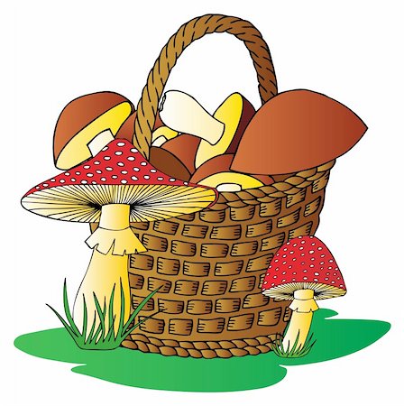 Basket with mushrooms - vector illustration. Foto de stock - Royalty-Free Super Valor e Assinatura, Número: 400-06473699