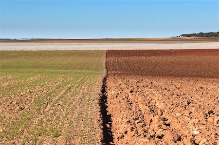 Ploughed fields in the vast plain of Alentejo, Portugal Stock Photo - Budget Royalty-Free & Subscription, Code: 400-06484887