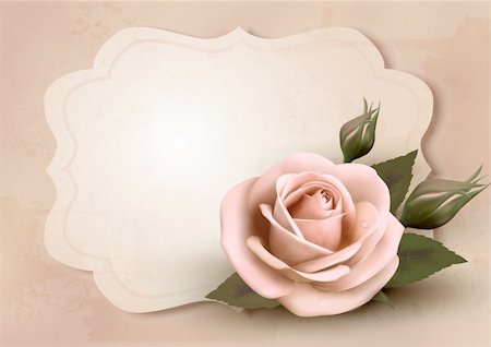 Retro greeting card with pink rose. Vector illustration. Foto de stock - Super Valor sin royalties y Suscripción, Código: 400-06485074