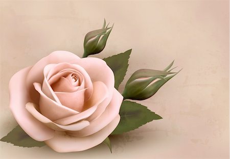 Retro background with beautiful pink rose with buds. Vector illustration. Foto de stock - Super Valor sin royalties y Suscripción, Código: 400-06485072