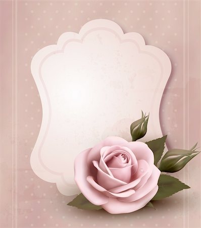 Retro greeting card with pink rose. Vector illustration. Stock Photo - Budget Royalty-Free & Subscription, Code: 400-06485073