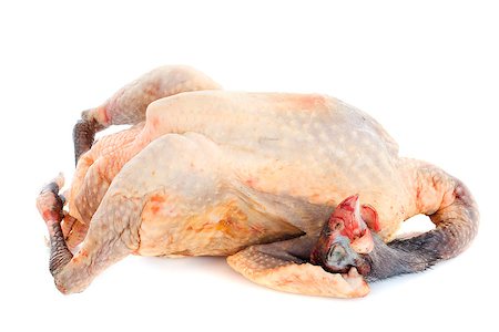 guinea fowl ckicken uncooked in front of white background Stock Photo - Budget Royalty-Free & Subscription, Code: 400-06485494