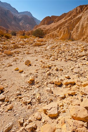 river bed - Canyon in the Judean Desert on the West Bank of the Jordan River Photographie de stock - Aubaine LD & Abonnement, Code: 400-06480177