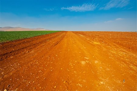 simsearch:400-06415579,k - Dirt Road between Green Fields in Israel, Spring Stock Photo - Budget Royalty-Free & Subscription, Code: 400-06480179