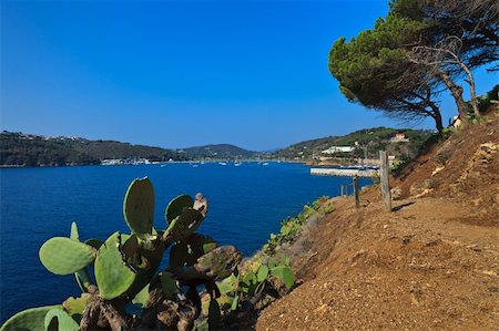 elba island italy marciana marina - path to Porto Azzuro, Elba Island, Italy Stock Photo - Budget Royalty-Free & Subscription, Code: 400-06480201