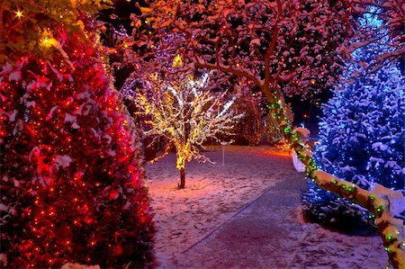 simsearch:859-03041250,k - Colorful Christmas lights on trees, glowing nature Stock Photo - Budget Royalty-Free & Subscription, Code: 400-06480681