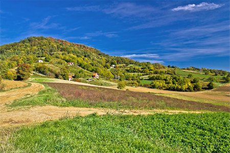 simsearch:400-07305550,k - Beautiful green hill with vineyard cottages, Kalnik mountain, Prigorje, Croatia Photographie de stock - Aubaine LD & Abonnement, Code: 400-06480682