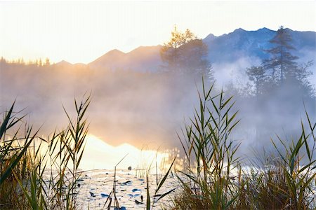 Barmsee in Bavarian Alps in morning fog at sunrise Stock Photo - Budget Royalty-Free & Subscription, Code: 400-06482638