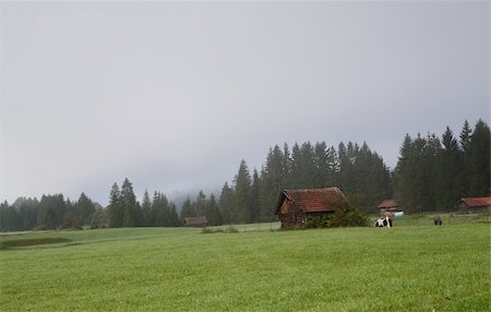 small village close to Wallgau in morning fog, Bavaria Stock Photo - Budget Royalty-Free & Subscription, Code: 400-06482744