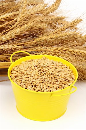 simsearch:400-08428404,k - sowing wheat seed in yellow bowl over white Stock Photo - Budget Royalty-Free & Subscription, Code: 400-06482905