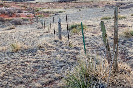 cattle barbed wire fence in semi desert ranch in northern Colorado near Wyoming border Foto de stock - Super Valor sin royalties y Suscripción, Código: 400-06482986