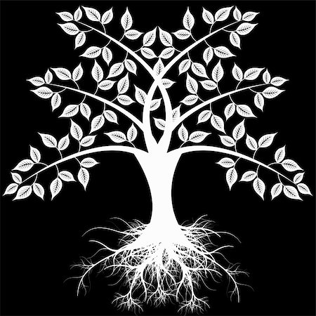 Beautiful art tree isolated on black background Stock Photo - Budget Royalty-Free & Subscription, Code: 400-06514109