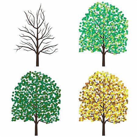 four seasons color - Four season trees on the white background. Also available as a Vector in Adobe illustrator EPS 8 format, compressed in a zip file. Stock Photo - Budget Royalty-Free & Subscription, Code: 400-06514484