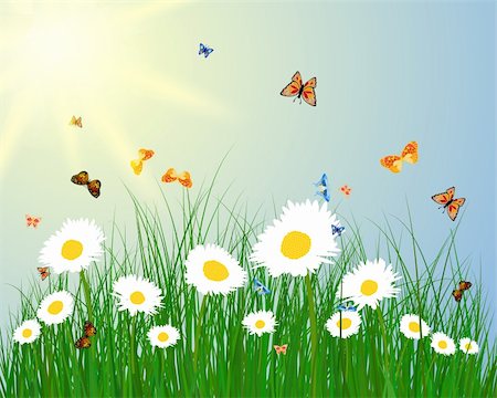 Meadow color background with butterfly and sun. All objects are separated. Vector illustration with transparency. Eps 10. Fotografie stock - Microstock e Abbonamento, Codice: 400-06514999